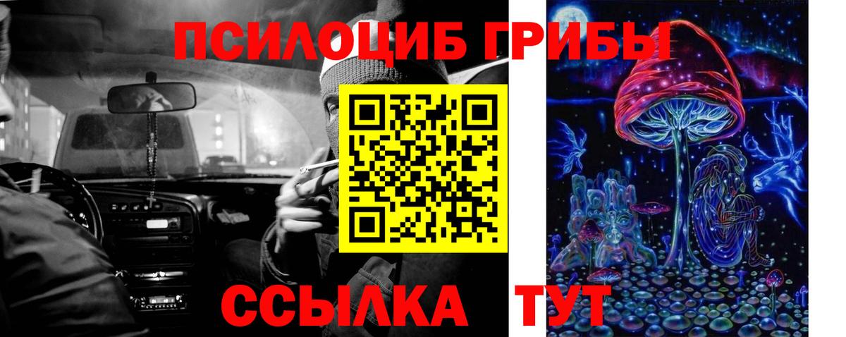 Буйнакск  Галлюциногенные грибы мицелий  Вход с VPN  Галлюциногенные грибы ЛСД 